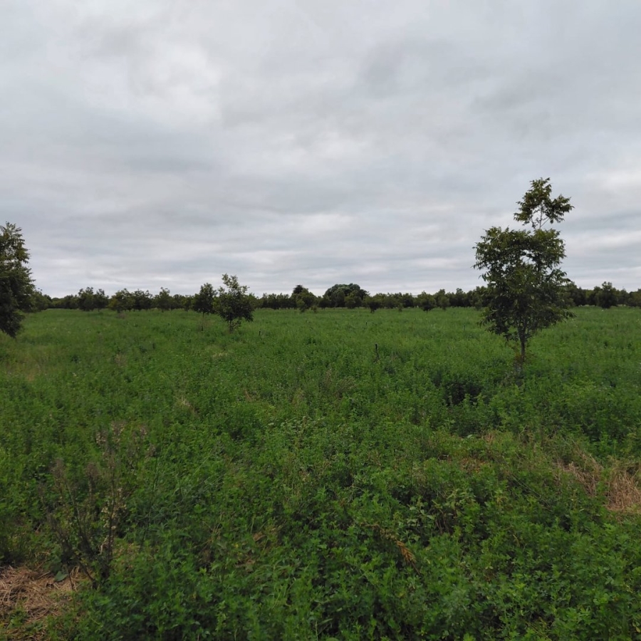Commercial Property for Sale in Hartswater Rural Northern Cape